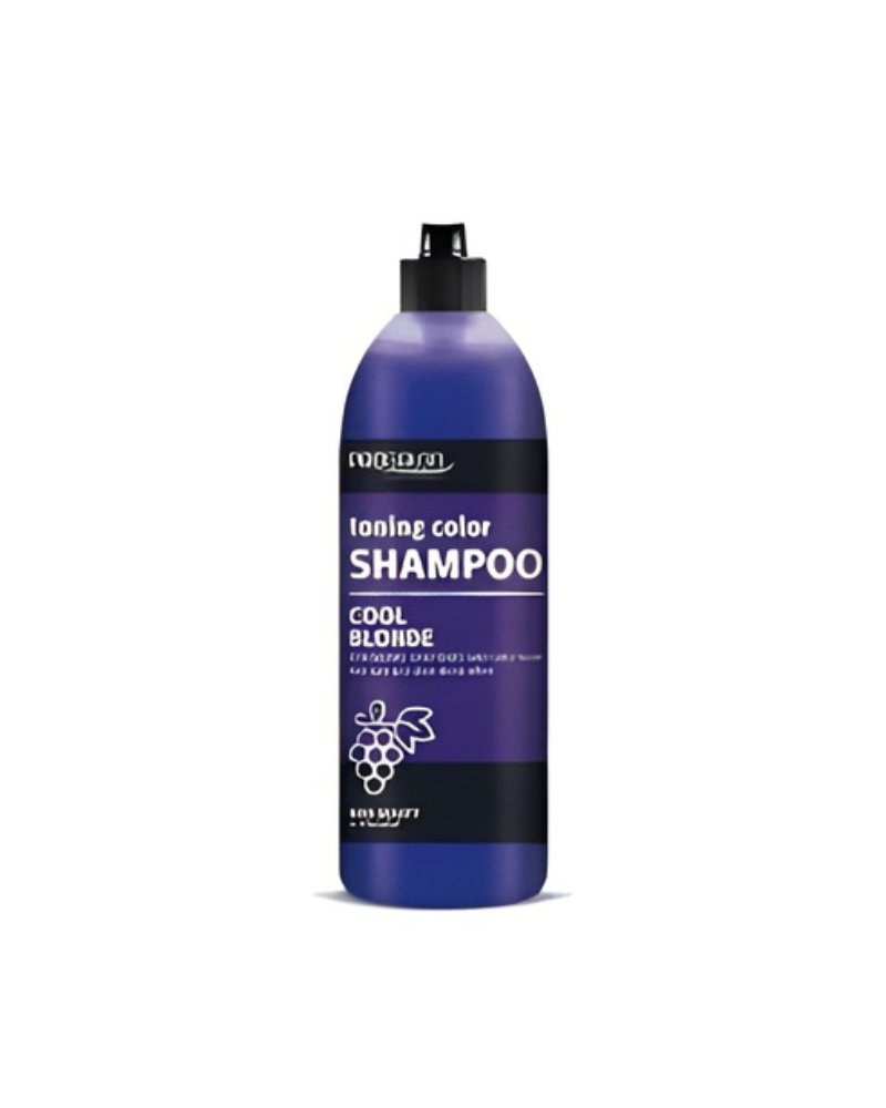 PR0409 SILVER SHAMPOO BLOND HAIR 500G
