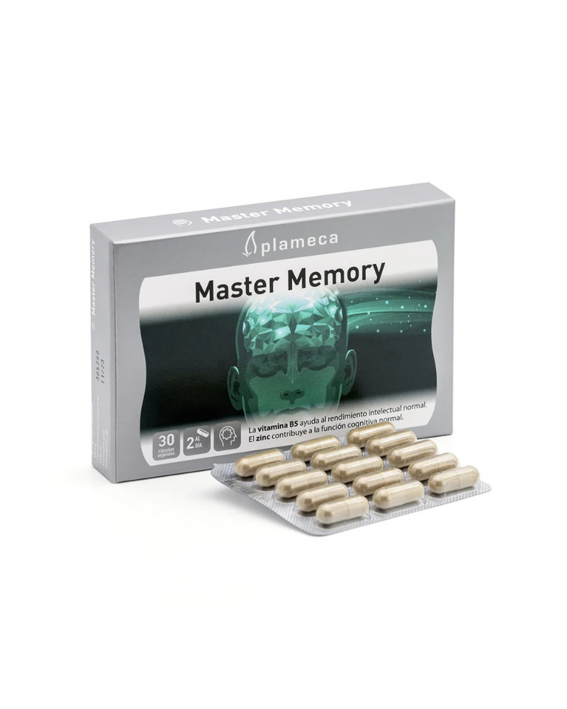 MASTER MEMORY